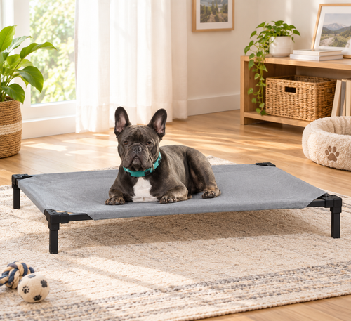 Elevated Cooling Dog Bed