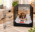 Elevated Cooling Dog Bed