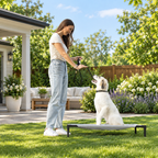 Elevated Cooling Dog Bed